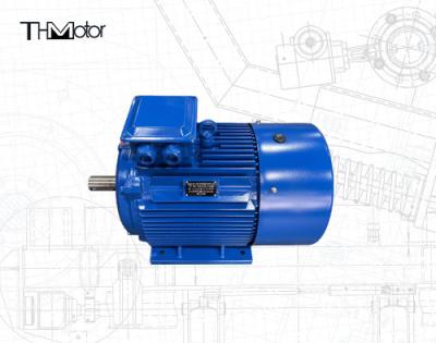 Cina IC0141 Motore a gabbia di scoiattolo efficiente con diametro dell'albero di 75 mm per il funzionamento continuo S1 in vendita