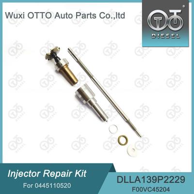 Cina 0445110520 Kit di riparazione dell'iniettore Bosch con ugello DLLA139P2229 e valvola F00VC45204 in vendita