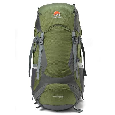 China Hot-selling Classical Mountaineering 65L Fashionable Large Capacity Outdoor Traveling Waterproof Hiking Backpack for sale