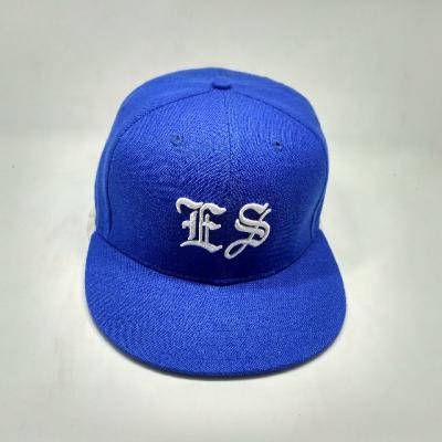 China Custom Embroidery COMMON Logo Snapback Hats And Caps, 6 Panel Snapback Hats for sale