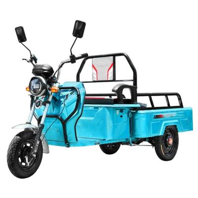 China Max Load 250kg 800w 60v Agricultural Classic Electric Cargo Tricycle for sale