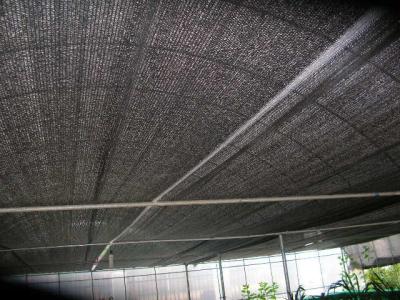 China agriculture shade net for sale