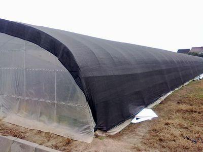 China sunshade net for green house 6m width x100m long for sale