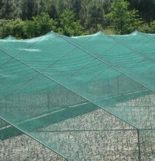 China agriculture insect net,40x30mesh,105gr/sqm,4m width for sale