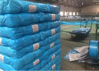 China high strenghth plastic tarpaulin for multipurpose use,2x3m,4x6m,blue color for sale