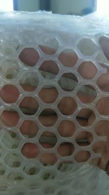 China white plastic extruded net, plastic barrier net for poulty,& animals for sale