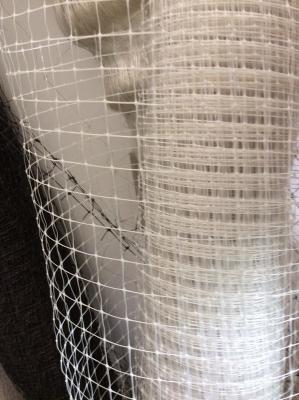 China white/black bird net,planting net,garden net for sale