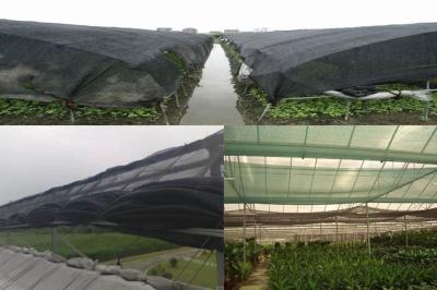 China black color HDPE sun shade net 3*100meter for greenhouse use for sale