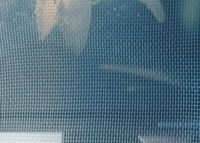 China MONO FILAMENT POLYESTER WINDOW SCREEN 24*22MESH for sale