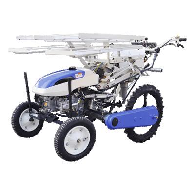 China Vegetable Farms Iseki Farmer Needs Seeding Cabbage Transplanter Transplanting Machine Sale for sale