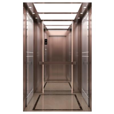 China Shopping Mall Security Customized Passenger Elevator 800KG Fuji Passenger Elevator Home Elevator for sale