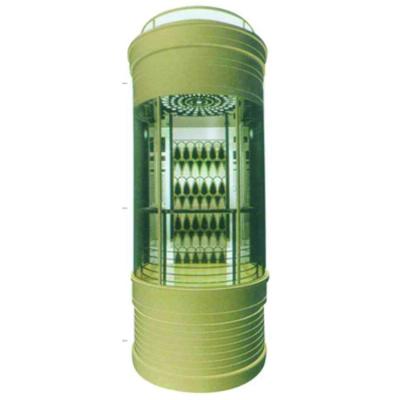 China Modern Outdoor Luxurious Panoramic Capsule Elevator Guided Glass Elevator for sale