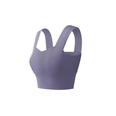 China Breathable ECO Choose Backless Women Yoga Sports Bra Ladies Seamless Training Wholesale Plus Size Custom LOGO Hot Girl Fitness Gym Bra for sale