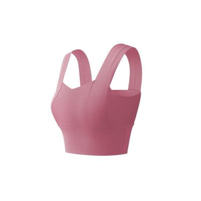 China ECO Breathable Choose Custom LOGO Ladies Sexy Seamless Wholesale Girl Yoga Sport Bra Plus Size Gym Backless Hot Bra For Women Fitness for sale