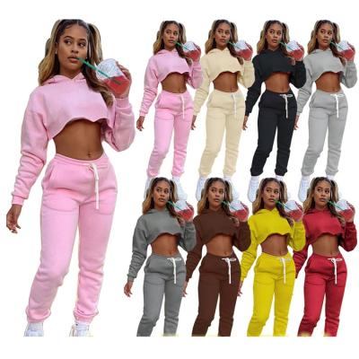 China Anti-wrinkle 2021 new ladies outfits long hooded crop tops thick plush plus size autumn women two piece sets for sale