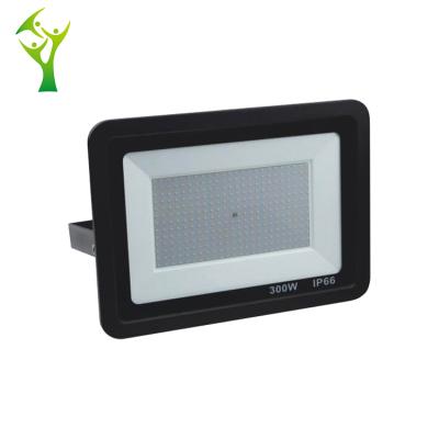 China LANDSCAPE Pattern Aluminum Ip 66 Private 300w LED Waterproof Remote Control Outdoor Floodlight for sale