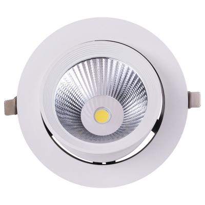 China Modern CRI80 AC85V 265V elephant trunk lamp led downlight 40w trunk down light for sale