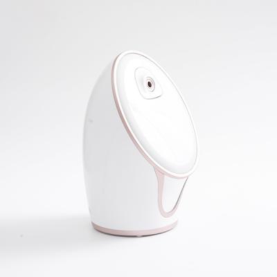 China Wholesale Ionic Hot Portable Sauna Humidifier Machine Home Facial Mist SPA DEEP CLEANSING Facial Steamer for sale