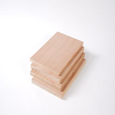 China Modern Top Quality MR Glue Okumer BB/CC plywood for Furniture for Sale for sale