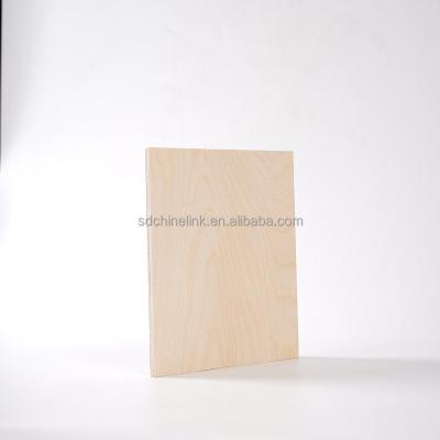 China Modern Top Quality CC/CC Maple Birch Core Commercial Plywood for Mexico Market for sale