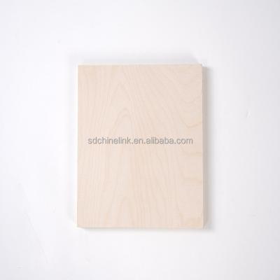 China Modern Top Quality C+/C+ Maple Birch Core Commercial Plywood for Mexico Market for sale