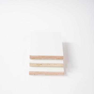 China Modern China Factory Price White Furniture Plywood Laminated Hpl Plywood for sale