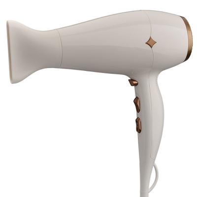 China Other Powerful Electric Professional Hair Dryer HM001 for sale