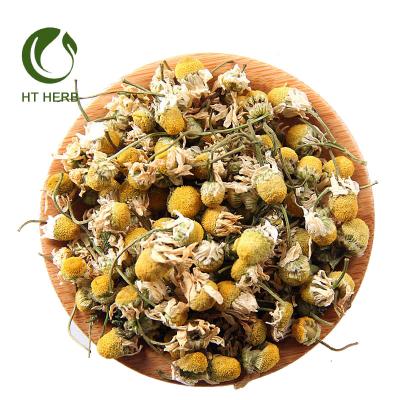 China New Arrival Popular 100% Pure Low Fat Health Blossom Herbal Tea Dry Chamomile Tea Good For Health Tea for sale