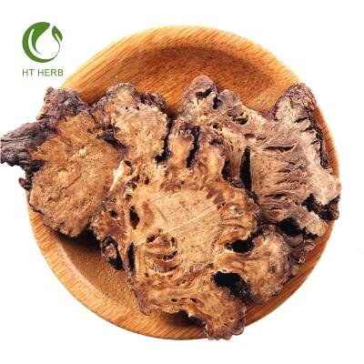 China Keep Health Wholesale Herbal Rhizoma Ligustici Chuanxiong For Herb for sale