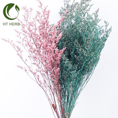 China Dried Grass Fashion Dried Limonium Dried Grass Preserved Flower Valentine Grass For Love Flower for sale