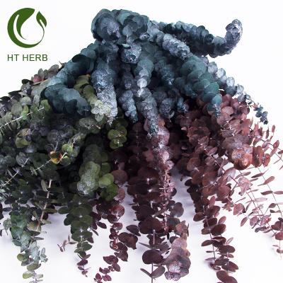 China Eucalyptus Dried Leaves Branch Dried Preserved Eucalyptus Stem Flowers Wreath Plants for sale