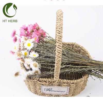 China Chinese Traditional Red Dried Flower LuDan Bird Dried Flower Dried Flower Dried Flower for sale