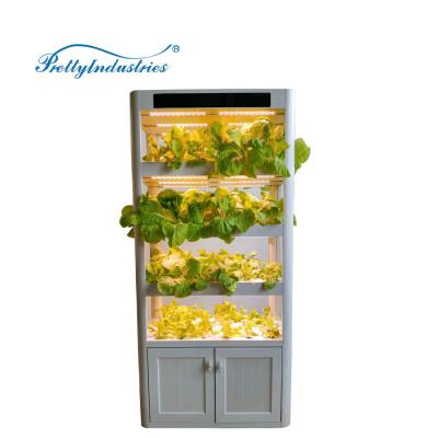 China Farms System Intelligent Hydroponic Vegetable Seed Planter Indoor Vegetable Planter for sale