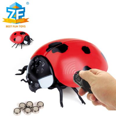 Cina Drop Shipping JiaHuiFeng Rc Ladybug Animal Radio Control Insect Tricky Toys Summer Game in vendita