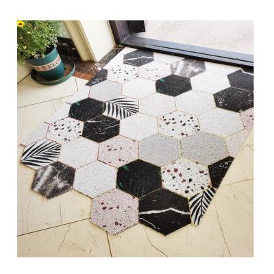 China Customized Printed Washable Home PVC Coil Footmat Floor Indoor Outdoor Door Mat for sale