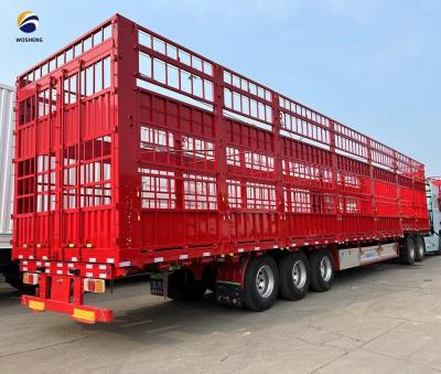 China Main Beam Q345B/T700 High Fence Semi Trailer for Livestock Cattle Cow Transportation for sale