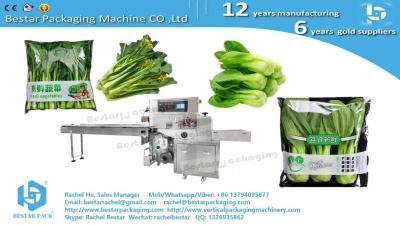 China Greens cabbage leafy pouch packaging horizontal servo packing machine for sale