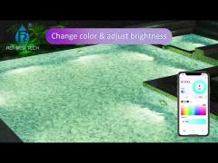 Smart Control System for Pool Light