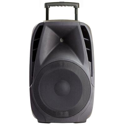 China ABS 1000 watt pro 10 inch active speaker for stage music for wholesales for sale