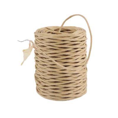 China Convenient 50m Custom Twisted Craft Wire Wrap Twist Paper Cord Twine with Iron Wire Wrapping Rope for Garden Decor and Grafting for sale