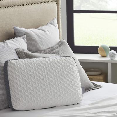 China Anti-Static Molded Memory Foam Pillow, Standard, White, Gray for sale