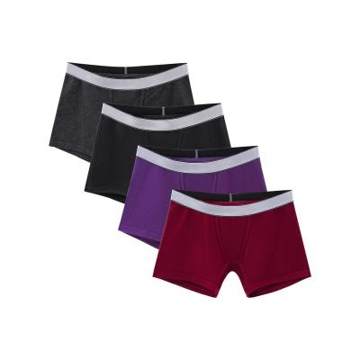 China Boyshorts High Elasticity Boxer Breathable Cotton Wholesale Cotton Thigh Length Thigh Slim Boy Shorts Panty For Women for sale