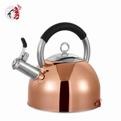 China Durable Painting Stainless Steel Copper Whistling Tea Kettle With Private Label for sale