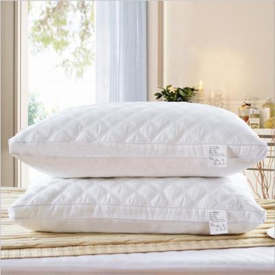 China Latest Anti-Static Customized Winter Goose Feather Pillow Insert for sale