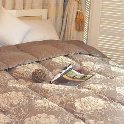 China BS-0039 Unique Design Nondisposable Hot Selling Natural Comfort Lace Comforter Sets Bedding for sale