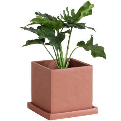 China Modern Nordic Single Style Cement Green Plant Pot With Saucer For Garden Decor for sale