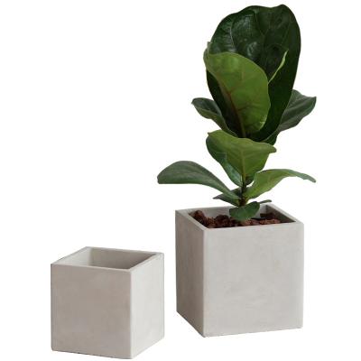 China Simply Nordic Simple Style Square Shape Cement Flower Pots With Drainage Hole For Garden Decor for sale