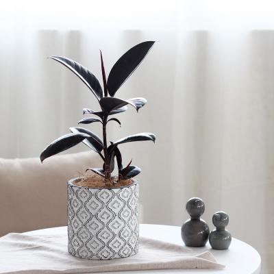 China Simply Vintage Carving Design Cement Planter Desktop Pots For Garden Decor for sale