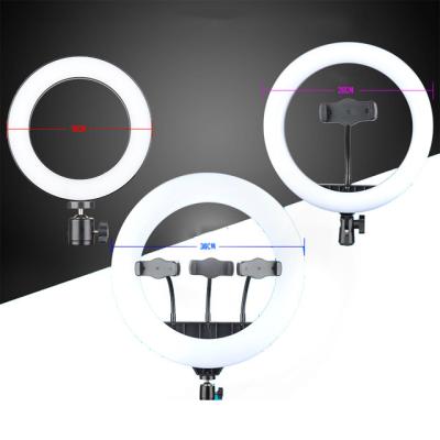 China Conveninet Beauty Lamp Powered Led Ring Light For Wick Tattoo Salon Makeup Photographic Lighting for sale