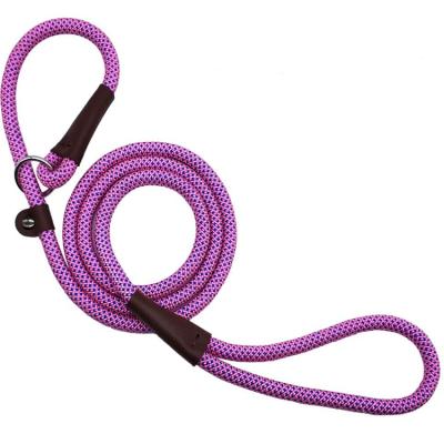 China Custom Color Reflective Logo Pet Rope Leash Durable And Adjustable Training Leash For Dog for sale